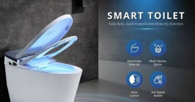 Best Smart Toilet Brands Reviews 2025 Including Fontana Smart Toilet